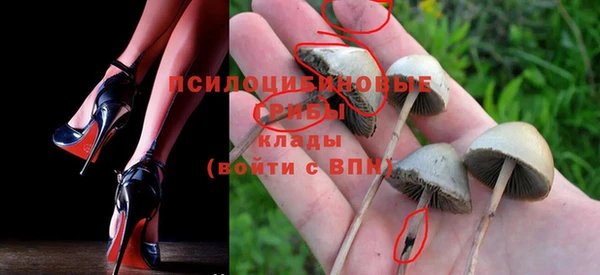 дживик Алексин