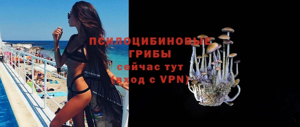 дживик Алексин