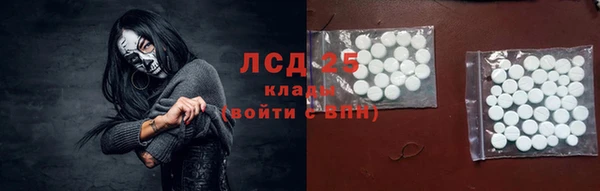 сатива Алзамай