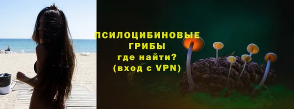 дживик Алексин