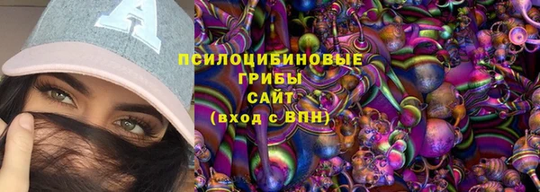 сатива Алзамай