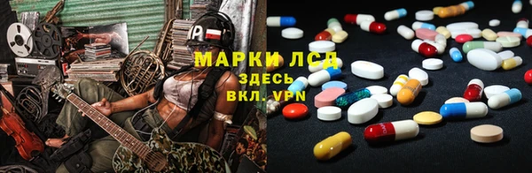 сатива Алзамай