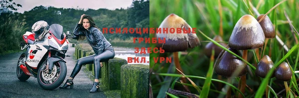 дживик Алексин