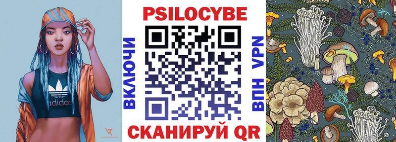 где продают наркотики  Бобров  Галлюциногенные грибы Cubensis 
