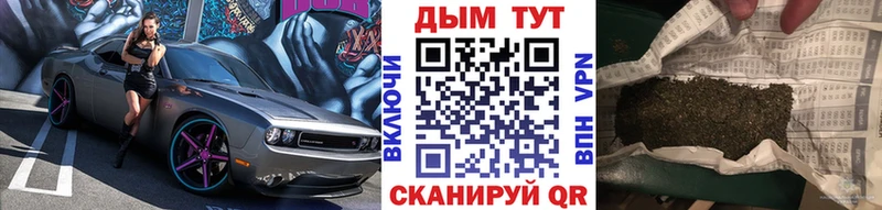 Бошки Шишки конопля  Бобров 